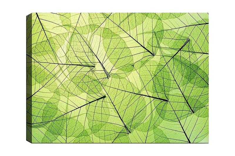 Canvas taulu 70x100 cm - Abstrakti sommitelma läpikuultavista lehdistä eri vihreän sävyissä, Vaaleanvihreä / Tummanvihreä / Musta