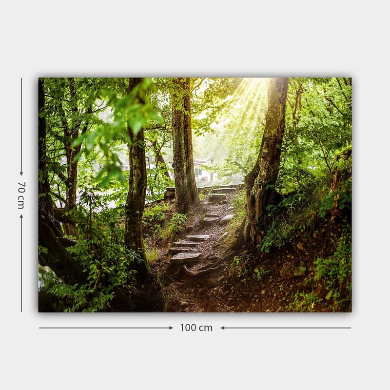 Canvas taulu 70x100 cm - Auringon valaisema polku vehreyden ympäröimänä metsäympäristössä - Vihreä / Ruskea - Sisustustuotteet - Taulu & taide - Canvas-taulu
