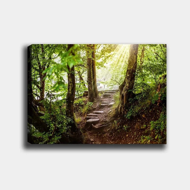 Canvas taulu 70x100 cm - Auringon valaisema polku vehreyden ympäröimänä metsäympäristössä, Vihreä / Ruskea