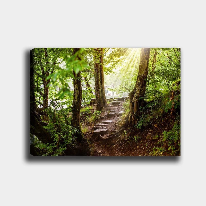 Canvas taulu 70x100 cm - Auringon valaisema polku vehreyden ympäröimänä metsäympäristössä, Vihreä / Ruskea