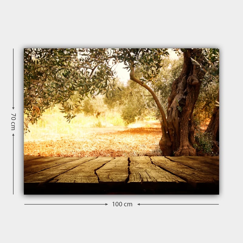 Canvas taulu 70x100 cm - Auringonvalossa kylpevä maisema, jossa on oliivipuita ja puupinta etualalla - Kulta / Ruskea / Vihreä - Sisustustuotteet - Taulu & taide - Canvas-taulu
