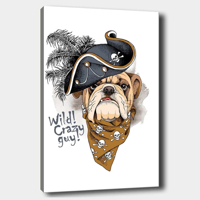 Canvas taulu 70x100 cm - Bulldoggi merirosvohatussa ja bandanassa, jossa kalloja, Beige / Musta / Oranssi