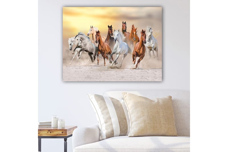 Canvas taulu 70x100 cm - Dynaaminen kuvaus useista hevosista laukkaamassa hiekkaisessa ympäristössä, Valkoinen / Ruskea / Harmaa
