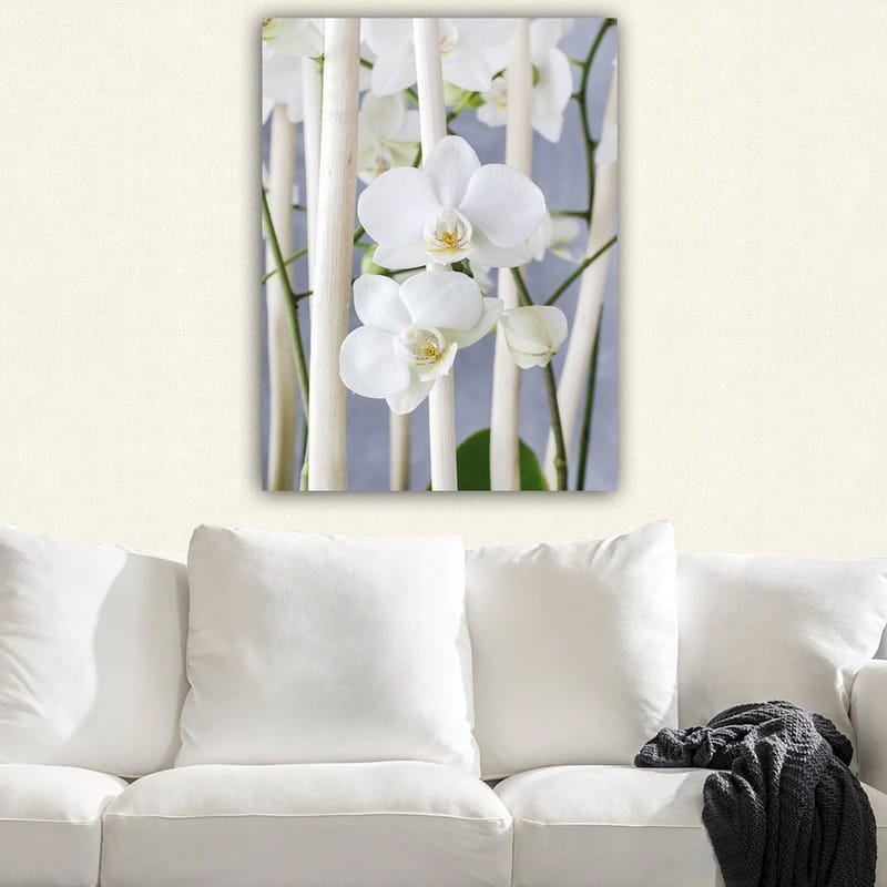 Canvas taulu 70x100 cm - Elegantti sommitelma valkoisista orkideoista, jotka kasvavat vaaleiden varsien välissä - Valkoinen / Vihreä - Sisustustuotteet - Taulu & taide - Canvas-taulu