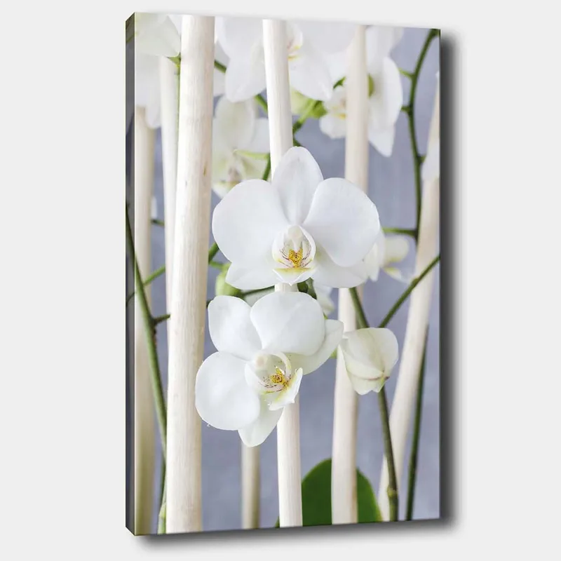 Canvas taulu 70x100 cm - Elegantti sommitelma valkoisista orkideoista, jotka kasvavat vaaleiden varsien välissä, Valkoinen / Vihreä
