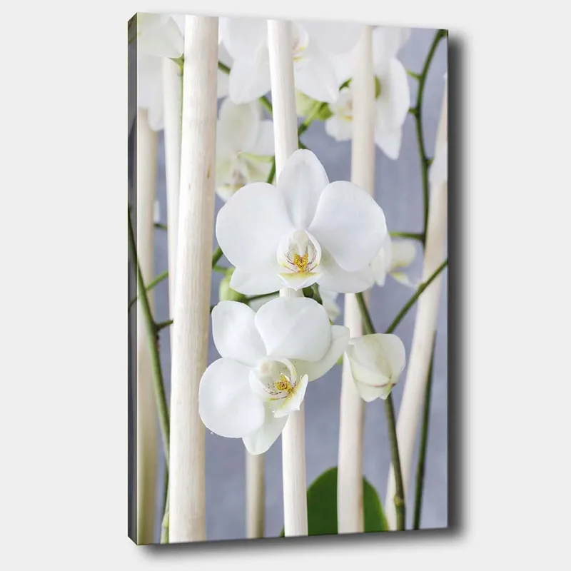 Canvas taulu 70x100 cm - Elegantti sommitelma valkoisista orkideoista, jotka kasvavat vaaleiden varsien välissä, Valkoinen / Vihreä