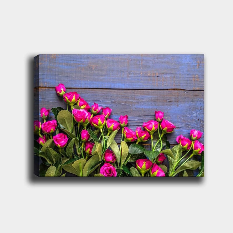 Canvas taulu 70x100 cm - Eloisa kokoelma vaaleanpunaisia ruusuja sinistä puutaustaa vasten, Vaaleanpunainen / Vihreä / Sininen