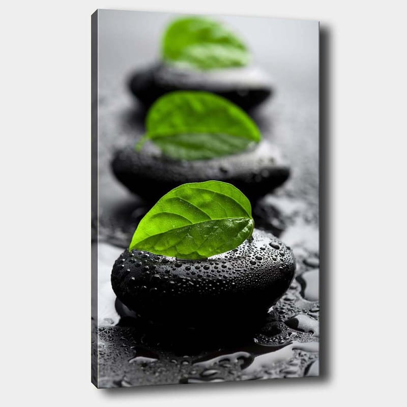 Canvas taulu 70x100 cm - Harmoninen mustien kivien ja vihreiden lehtien sommittelu, joka symboloi rauhaa ja tasapainoa - Musta / Vihreä - Sisustustuotteet - Taulu & taide - Canvas-taulu
