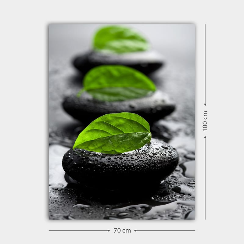 Canvas taulu 70x100 cm - Harmoninen mustien kivien ja vihreiden lehtien sommittelu, joka symboloi rauhaa ja tasapainoa - Musta / Vihreä - Sisustustuotteet - Taulu & taide - Canvas-taulu