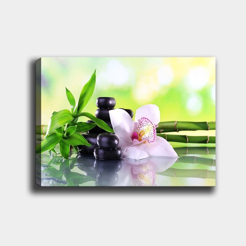 Canvas taulu 70x100 cm - Harmoninen sommitelma mustilla kivillä, valkoisella orkidealla ja vihreillä bambunversoilla, Musta / Vihreä / Valkoinen