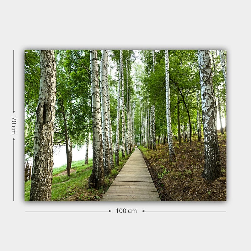 Canvas taulu 70x100 cm - Hiljainen metsätie koivujen ja rehevän kasvillisuuden ympäröimänä - Vihreä / Valkoinen / Ruskea - Sisustustuotteet - Taulu & taide - Canvas-taulu