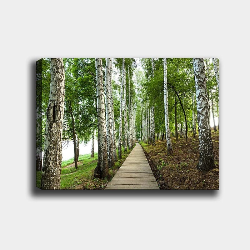 Canvas taulu 70x100 cm - Hiljainen metsätie koivujen ja rehevän kasvillisuuden ympäröimänä, Vihreä / Valkoinen / Ruskea