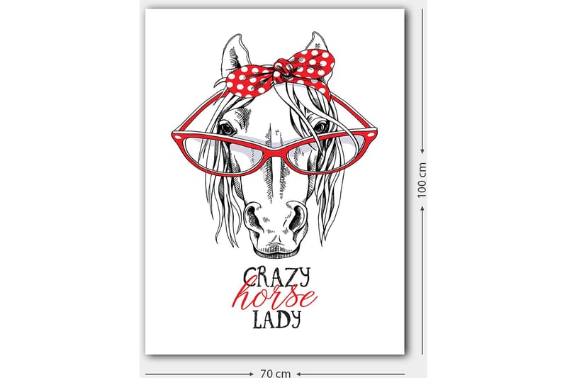 Canvas taulu 70x100 cm - Humoristinen kuva päästä, jolla on suuret silmälasit ja punainen pilkullinen rusetti - Punainen / Musta / Valkoinen - Sisustustuotteet - Taulu & taide - Canvas-taulu