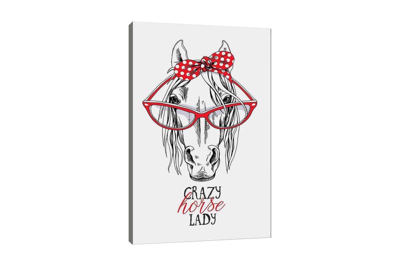 Canvas taulu 70x100 cm - Humoristinen kuva päästä, jolla on suuret silmälasit ja punainen pilkullinen rusetti, Punainen / Musta / Valkoinen