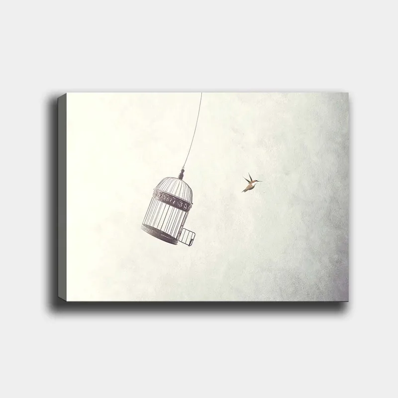 Canvas taulu 70x100 cm - Ilmassa roikkuva lintuhäkki ja lähellä lentävä lintu - Harmaa / Musta / Valkoinen - Sisustustuotteet - Taulu & taide - Canvas-taulu