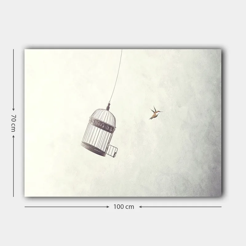 Canvas taulu 70x100 cm - Ilmassa roikkuva lintuhäkki ja lähellä lentävä lintu - Harmaa / Musta / Valkoinen - Sisustustuotteet - Taulu & taide - Canvas-taulu