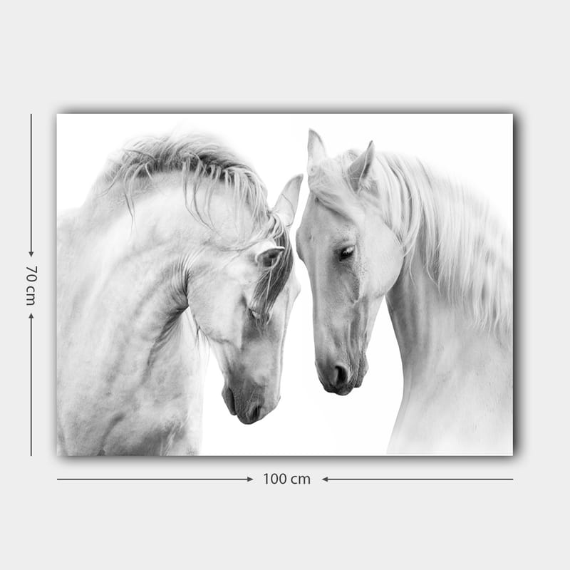 Canvas taulu 70x100 cm - Kaksi eleganttia hevosta seisoo lähellä toisiaan osoittaen yhteenkuuluvuuden tunnetta - Valkoinen / Harmaa - Sisustustuotteet - Taulu & taide - Canvas-taulu