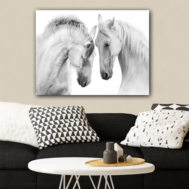 Canvas taulu 70x100 cm - Kaksi eleganttia hevosta seisoo lähellä toisiaan osoittaen yhteenkuuluvuuden tunnetta - Valkoinen / Harmaa - Sisustustuotteet - Taulu & taide - Canvas-taulu