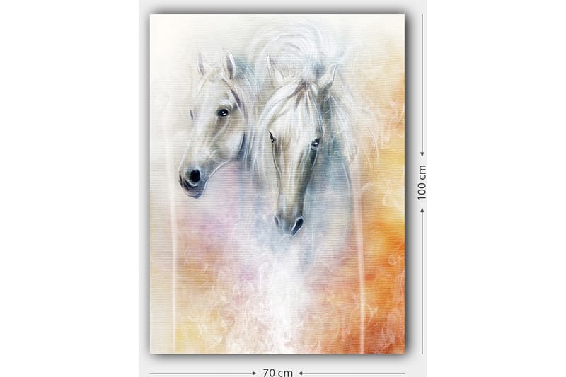 Canvas taulu 70x100 cm - Kaksi eleganttia hevosta pehmeässä ja unenomaisessa sommitelmassa - Valkoinen / Vaaleanharmaa / Oranssi - Sisustustuotteet - Taulu & taide - Canvas-taulu