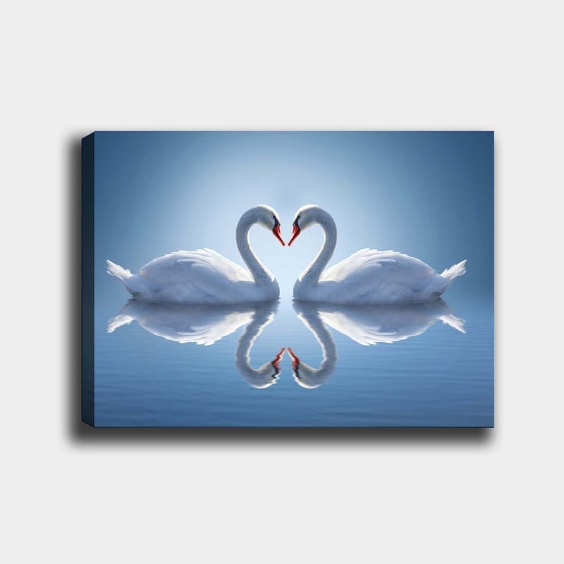 Canvas taulu 70x100 cm - Kaksi joutsenta muodostaa sydämen, joiden kaulat ovat peilikuvana vedessä, Valkoinen / Punainen / Sininen