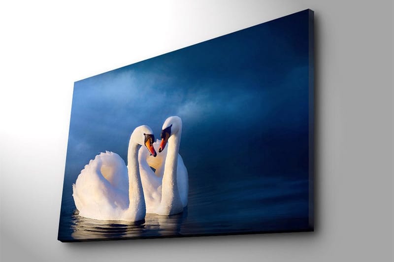 Canvas taulu 70x100 cm - Kaksi joutsenta muodostaa sydämen kaulillaan romanttisessa ja rauhallisessa tunnelmassa - Valkoinen / Tummansininen - Sisustustuotteet - Taulu & taide - Canvas-taulu