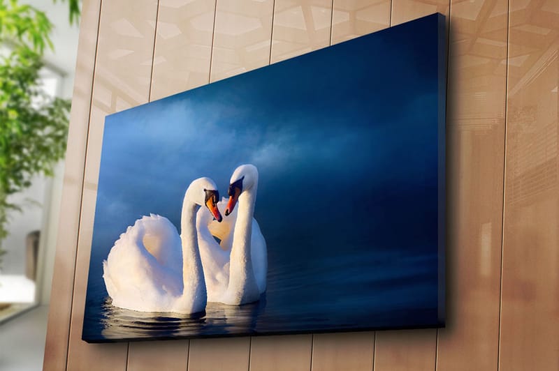 Canvas taulu 70x100 cm - Kaksi joutsenta muodostaa sydämen kaulillaan romanttisessa ja rauhallisessa tunnelmassa - Valkoinen / Tummansininen - Sisustustuotteet - Taulu & taide - Canvas-taulu