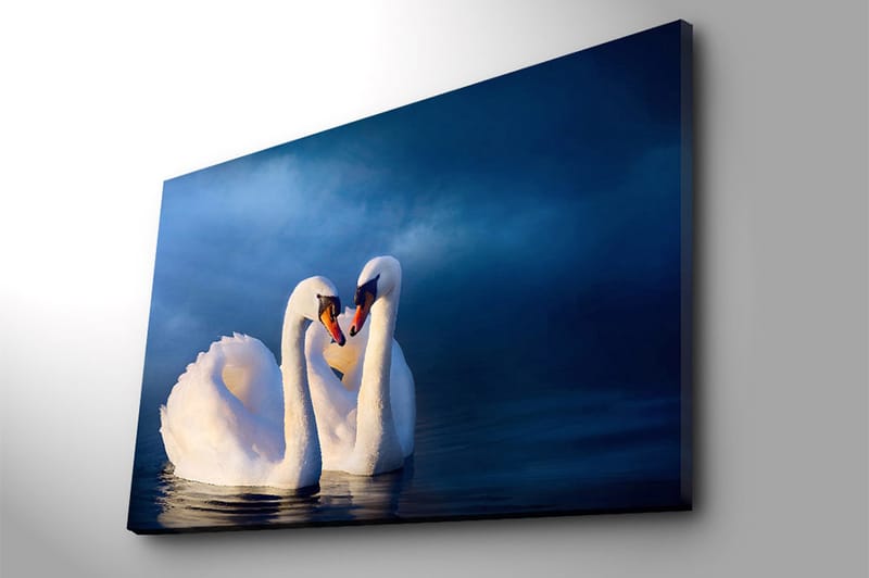 Canvas taulu 70x100 cm - Kaksi joutsenta muodostaa sydämen kaulillaan romanttisessa ja rauhallisessa tunnelmassa - Valkoinen / Tummansininen - Sisustustuotteet - Taulu & taide - Canvas-taulu