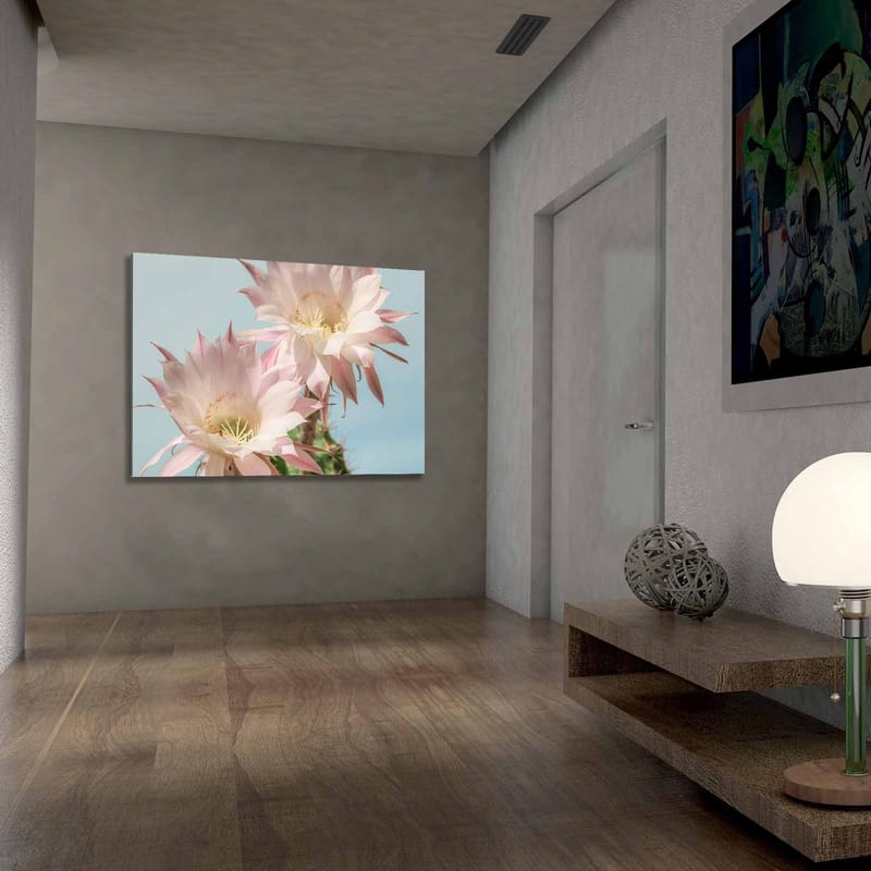Canvas taulu 70x100 cm - Kaksi kaunista kaktuskukka pastelliväreissä - Vaaleanpunainen / Vihreä - Sisustustuotteet - Taulu & taide - Canvas-taulu
