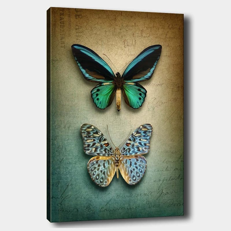 Canvas taulu 70x100 cm - Kaksi kaunista perhosta harmonisessa sommitelmassa - Turkoosi / Vihreä / Sininen - Sisustustuotteet - Taulu & taide - Canvas-taulu