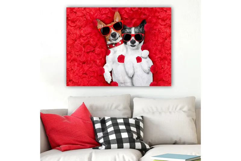 Canvas taulu 70x100 cm - Kaksi koiraa makaa yhdessä punaisella kukkataustalla, aurinkolasit päässä - Punainen / Valkoinen / Musta - Sisustustuotteet - Taulu & taide - Canvas-taulu