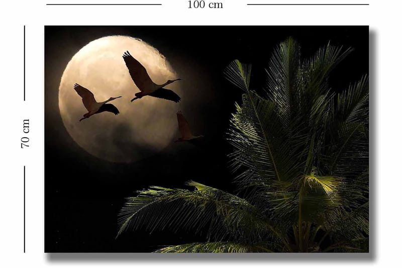Canvas taulu 70x100 cm - Kaksi lintua lentää kohti suurta kuuta palmun kaltaisen kasvin yllä - Tummanvihreä / Harmaa / Beige - Sisustustuotteet - Taulu & taide - Canvas-taulu
