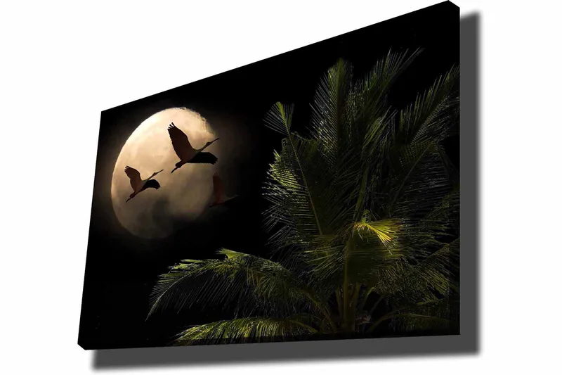 Canvas taulu 70x100 cm - Kaksi lintua lentää kohti suurta kuuta palmun kaltaisen kasvin yllä - Tummanvihreä / Harmaa / Beige - Sisustustuotteet - Taulu & taide - Canvas-taulu