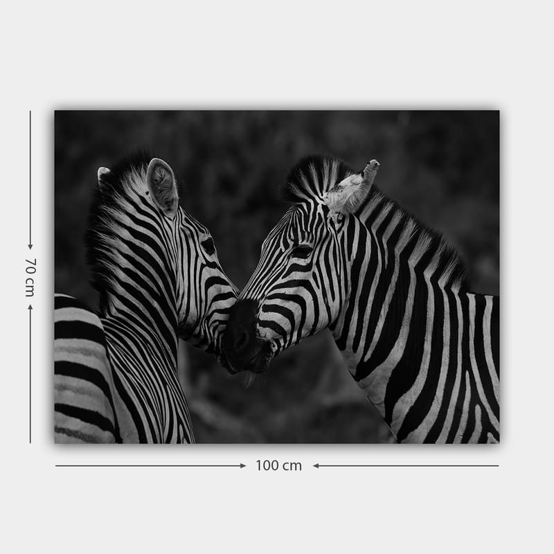 Canvas taulu 70x100 cm - Kaksi seepraa lähellä toisiaan ja osoittavat yhteenkuuluvuuttaan - Musta / Valkoinen - Sisustustuotteet - Taulu & taide - Canvas-taulu