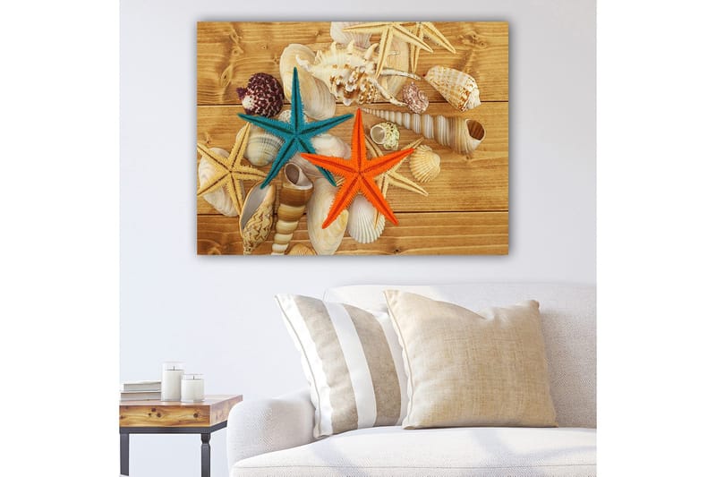 Canvas taulu 70x100 cm - Kaksi värikästä oranssin ja turkoosin väristä meritähteä simpukoiden keskellä puupinnalla, Turkoosi / Oranssi / Beige