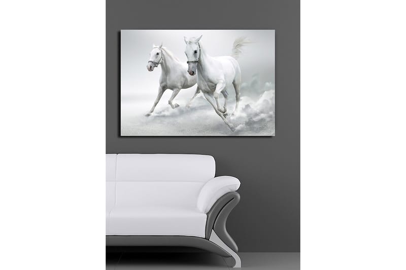 Canvas taulu 70x100 cm - Kaksi valkoista hevosta laukkaa eteenpäin dynaamisessa liikkeessä - Valkoinen / Harmaa - Sisustustuotteet - Taulu & taide - Canvas-taulu
