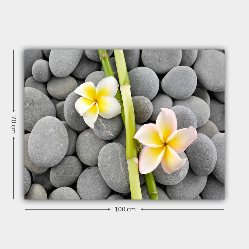 Canvas taulu 70x100 cm - Kaksi pastelliväristä kukkaa harmailla kivillä - Harmaa / Keltainen / Vaaleanpunainen - Sisustustuotteet - Taulu & taide - Canvas-taulu