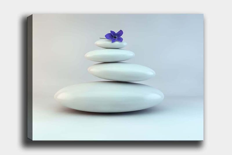 Canvas taulu 70x100 cm - Kasa valkoisia kiviä ja päällä violetti kukka, Valkoinen / violetti