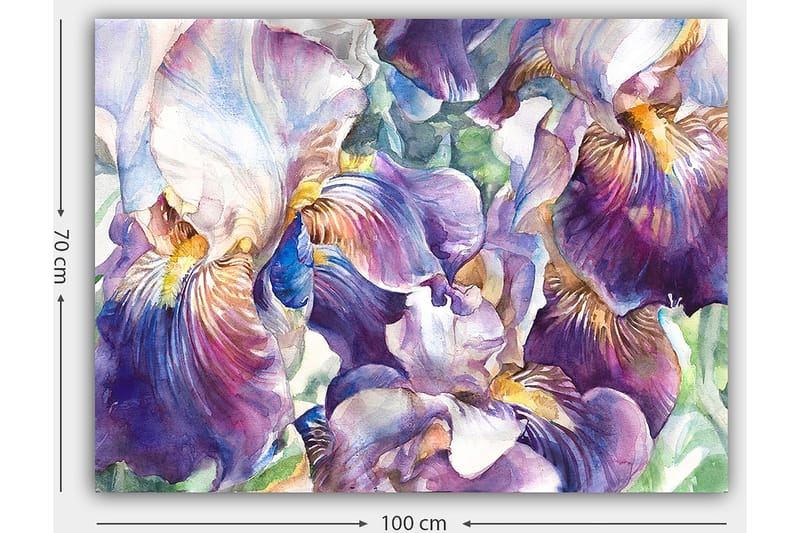 Canvas taulu 70x100 cm - Kauniit iiriksenkukat värikkäässä sommitelmassa - Violetti / Valkoinen / Keltainen - Sisustustuotteet - Taulu & taide - Canvas-taulu