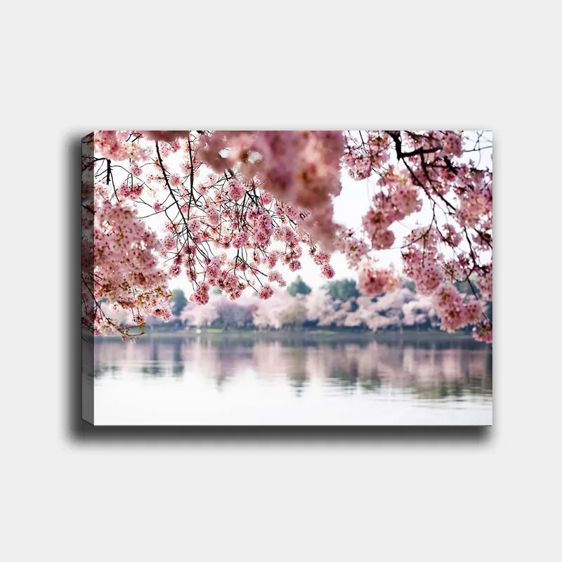 Canvas taulu 70x100 cm - Kauniit kirsikankukat kelluvat peilimäisen järven yllä, Vaaleanpunainen / Tummanpunainen / Vihreä