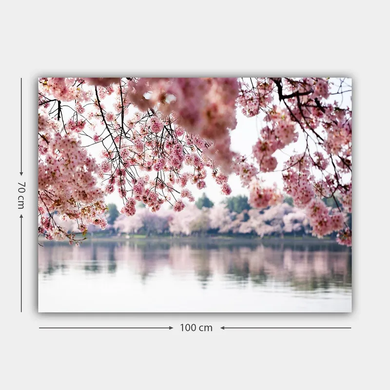 Canvas taulu 70x100 cm - Kauniit kirsikankukat kelluvat peilimäisen järven yllä - Vaaleanpunainen / Tummanpunainen / Vihreä - Sisustustuotteet - Taulu & taide - Canvas-taulu