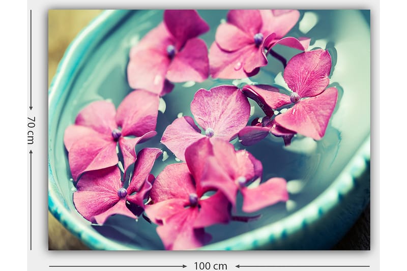 Canvas taulu 70x100 cm - Kauniit vaaleanpunaiset kukat kelluvat turkoosissa kulhossa - Vaaleanpunainen / Turkoosi - Sisustustuotteet - Taulu & taide - Canvas-taulu