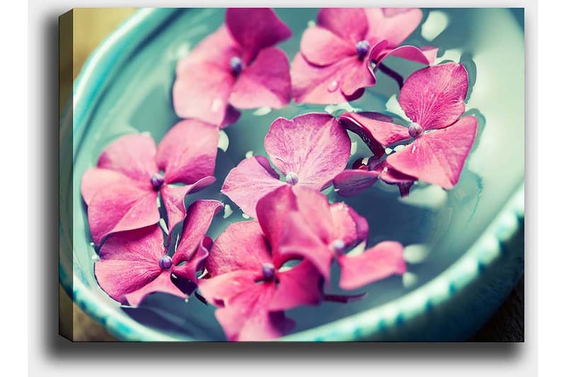 Canvas taulu 70x100 cm - Kauniit vaaleanpunaiset kukat kelluvat turkoosissa kulhossa - Vaaleanpunainen / Turkoosi - Sisustustuotteet - Taulu & taide - Canvas-taulu