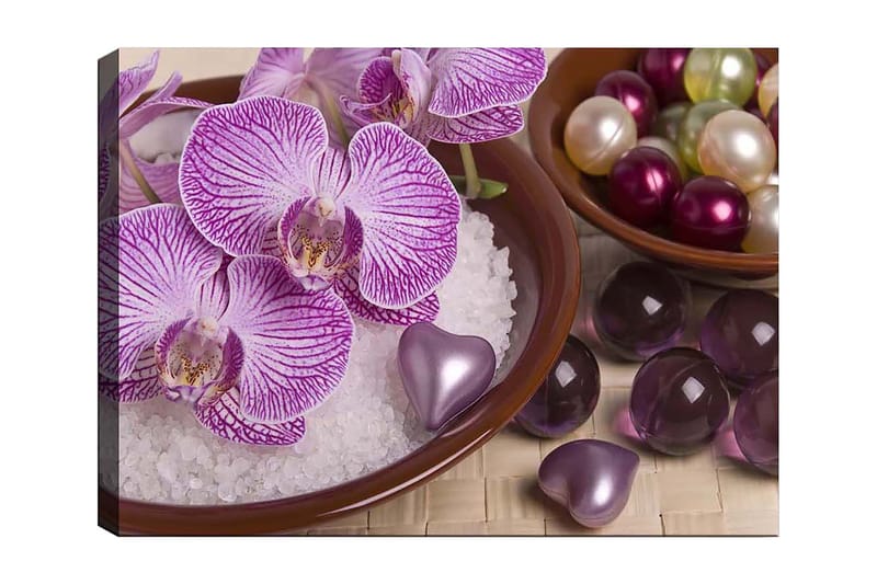 Canvas taulu 70x100 cm - Kauniita orkideoita kulhossa koriste-elementeillä, Violetti / Valkoinen / Vaaleanpunainen