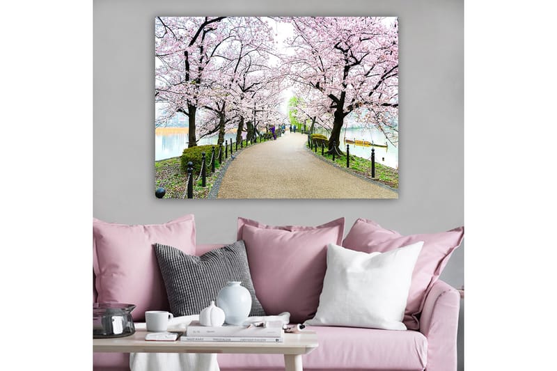 Canvas taulu 70x100 cm - Kaunis kävelytie, jota reunustavat täydessä kukassa olevat kirsikkapuut, Vaaleanpunainen / Vihreä / Ruskea