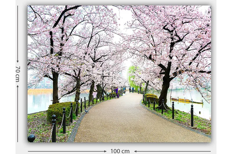 Canvas taulu 70x100 cm - Kaunis kävelytie, jota reunustavat täydessä kukassa olevat kirsikkapuut - Vaaleanpunainen / Vihreä / Ruskea - Sisustustuotteet - Taulu & taide - Canvas-taulu