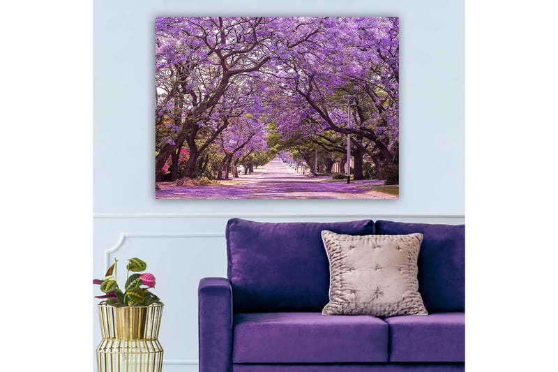 Canvas taulu 70x100 cm - Kaunis katu ja violetit kukkivat puut luovat unenomaisen tunnelman - Violetti / Vihreä - Sisustustuotteet - Taulu & taide - Canvas-taulu