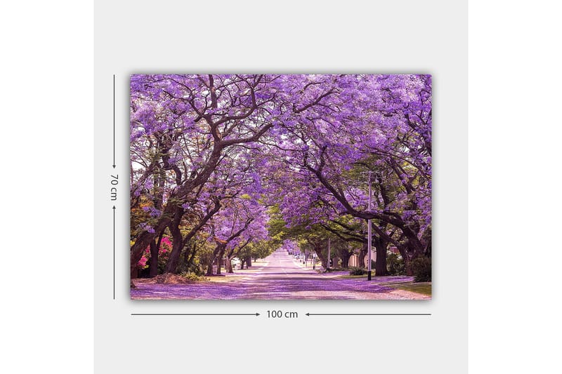 Canvas taulu 70x100 cm - Kaunis katu ja violetit kukkivat puut luovat unenomaisen tunnelman - Violetti / Vihreä - Sisustustuotteet - Taulu & taide - Canvas-taulu