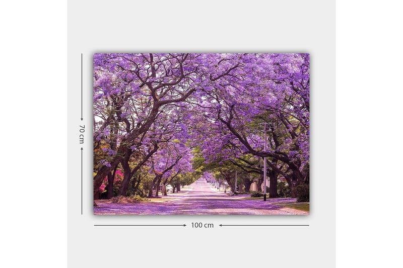 Canvas taulu 70x100 cm - Kaunis katu ja violetit kukkivat puut luovat unenomaisen tunnelman - Violetti / Vihreä - Sisustustuotteet - Taulu & taide - Canvas-taulu