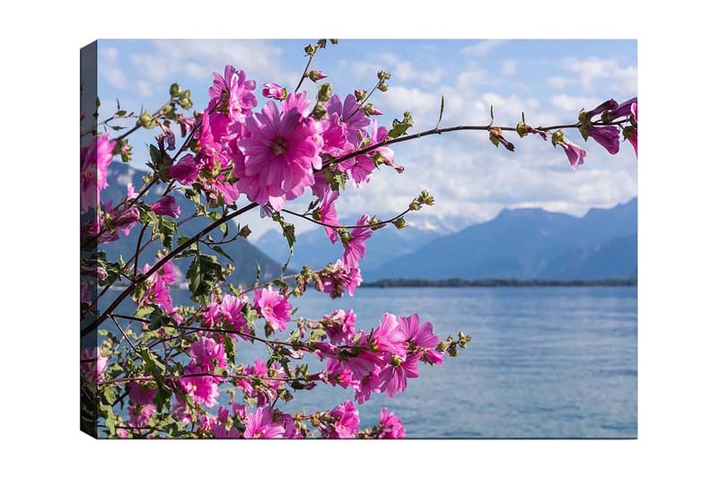 Canvas taulu 70x100 cm - Kaunis kukkaryhmä järven yli, taustalla vuoret, Vaaleanpunainen / Vihreä