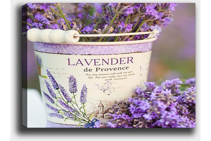 Canvas taulu 70x100 cm - Kaunis laventelikimppu koristeellisessa ämpärissä - Violetti / Valkoinen - Sisustustuotteet - Taulu & taide - Canvas-taulu